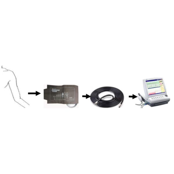 Тумак CM1023 25cm до фетального монитора Edan F9 частей монитора фетального взрослый состояние см 35 совместимое