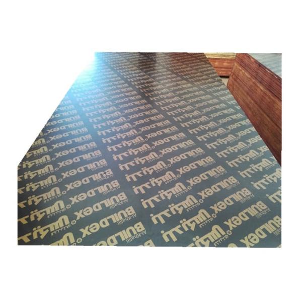Construction Two Times Hot Press 4x8 Plastic Film Faced Ply