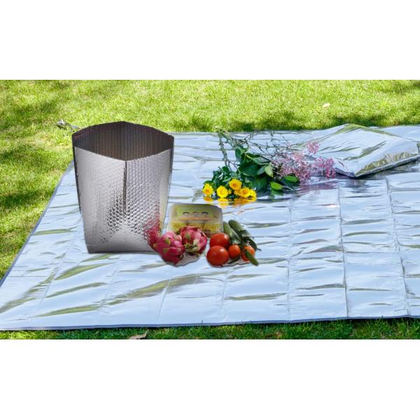 Aluminum Cooler Sealed Insulated Bag, Handle Thermal Lunch Bag, Hot Cold Bag, Transportation, Preservation