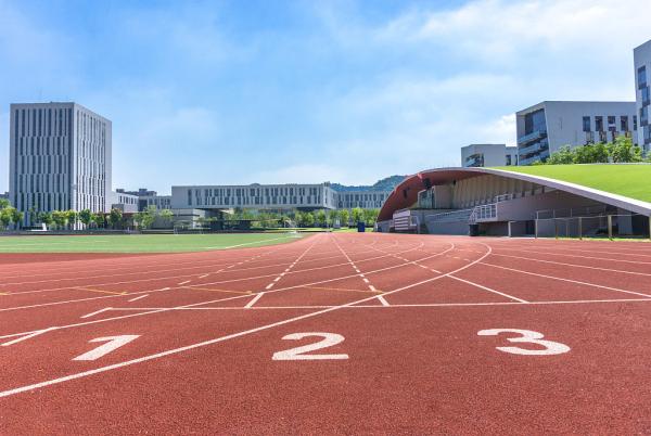 Sports Flooring Jogging Track Material Tartan Athletics Track 15mm Thickness