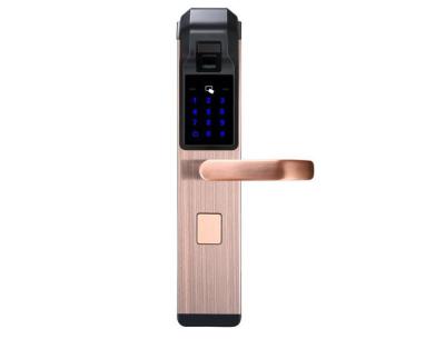 Competitive Price Zinc Alloy Fingerprint Door Lock With M1 Card For House Apartment
