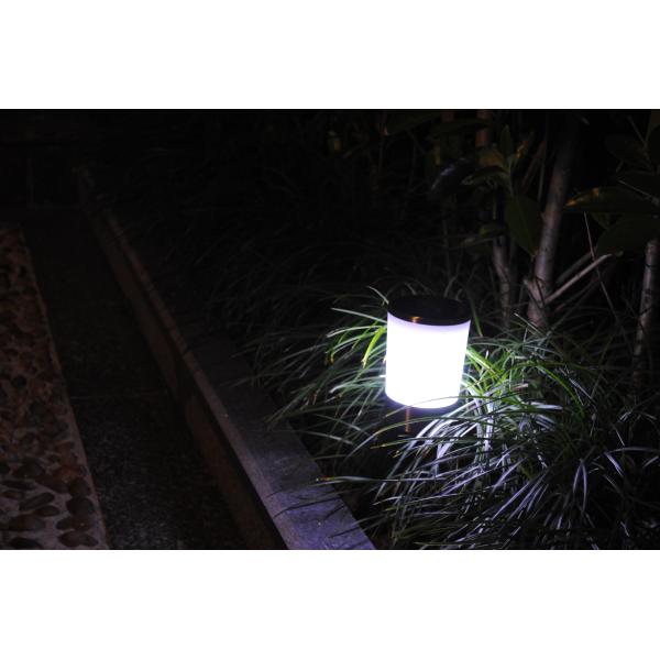 Stainless Steel Garden Stick Solar Lights IP44 10 Lumens Solar Outdoor Pathway Lighting