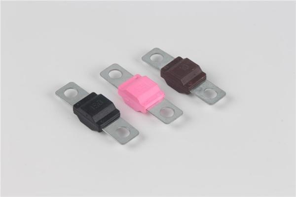 80V Ceramic Automotive Fuse 100A ANL Fuse Made In China Supply Car Fuse To India
