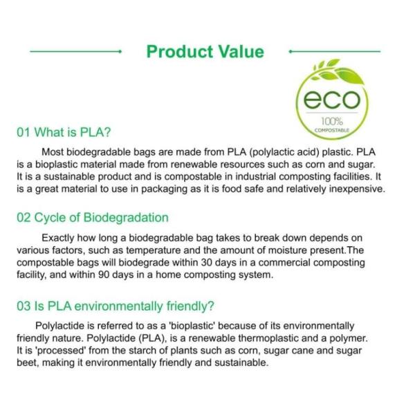 Compostable упаковка кофе 500Gram 1000Gram кладет в мешки с молнией