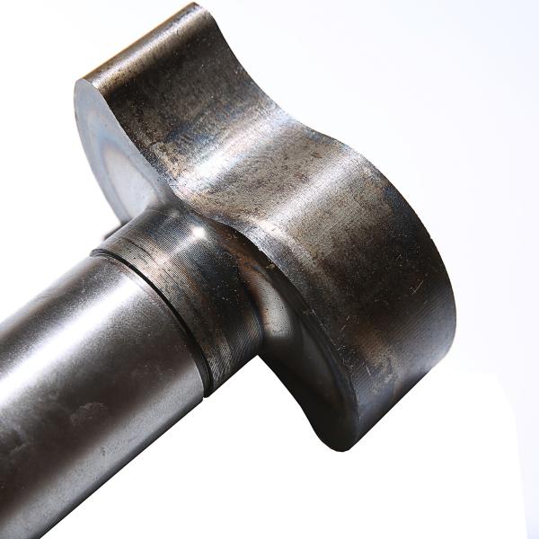 Tough SAE1045H German Type BPW S Camshaft