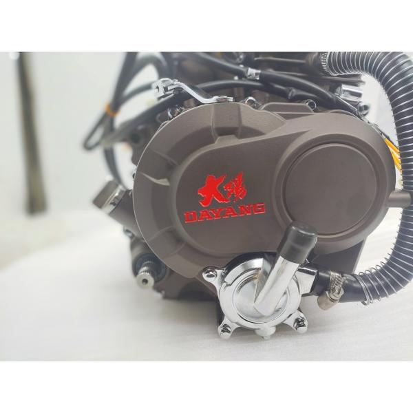 Max.Power 10.2/8000 Gasoline Tricycle Engines Assembly from DAYANG for Chinese Motorcycles
