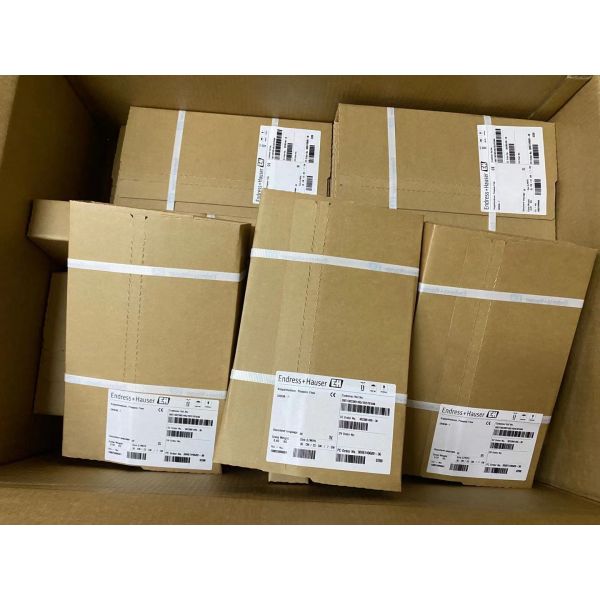 Endress+Hauser DK9CM-7 | Straight Thermowell, G1/2 PN40, 100mm Immersion