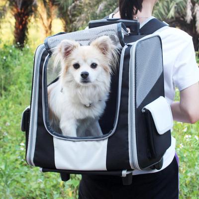 Trole telescópico da trouxa do portador do curso do animal de estimação do punho para cães e gato pequenos