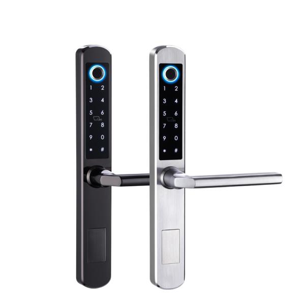Senha durável e fechadura da porta biométrica da impressão digital com chave escondendo
