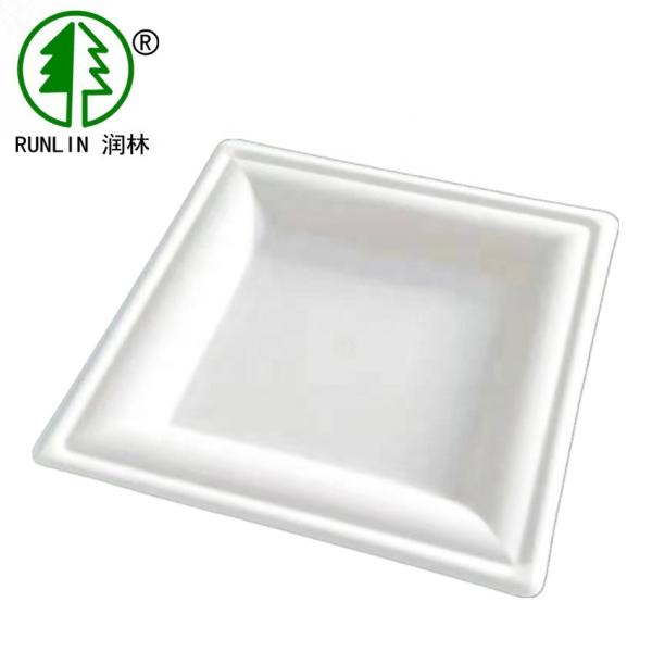 8 Inch Square Biodegradable Sugarcane Bagasse Plates Unbleached Birthday Party Disposable