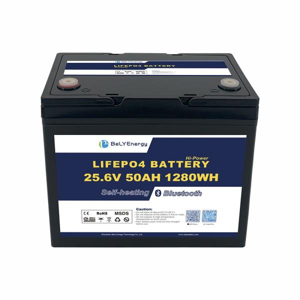 24V 50AH LiFePO4 Marine Boat Lithium Battery With BT and heating