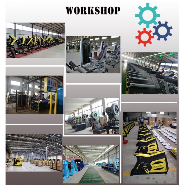 Отливая в форму сгущенная генерация силы собственной личности оборудования тренировки валика Рекумбент