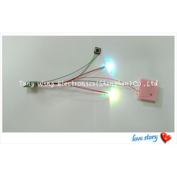 Beautiful Lights Flashing Button Sound Book 2 Colorful LED And 1 Button Flashing Module