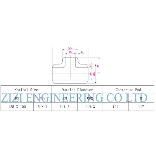 UNS S31803 Reducer Tee Duplex Steel Pipe Fittings 5 X 4 Inch Size XS BE ASME B16 9
