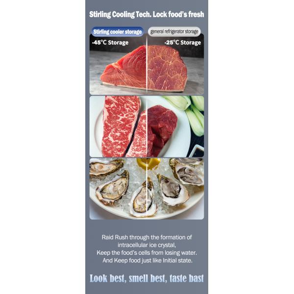 25L сверхнизкотемпературный постоянный ток солнечный холодильник для автомобилей -45C однотоннажный по Refport