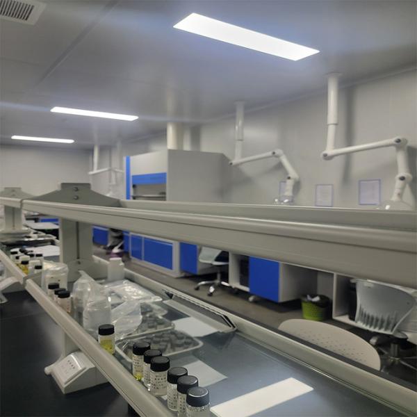 Aceite esencial de menta concentrado Liquido Perfumado Puro Aceite esencial de menta para la fabricación de pasta dental