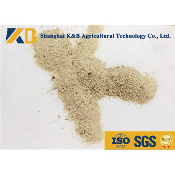 Nutritious Livestock Feed Additives Can Increase Fodder Availability And Energy