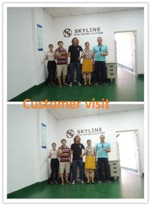 SKYLINE INSTRUMENTS CO.,LTD