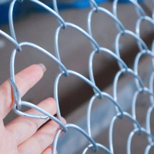 Green Plastic Coated Chain Link Fencing Hot Dipped Diamond Wire Mesh  Anti corrosion and anti rust