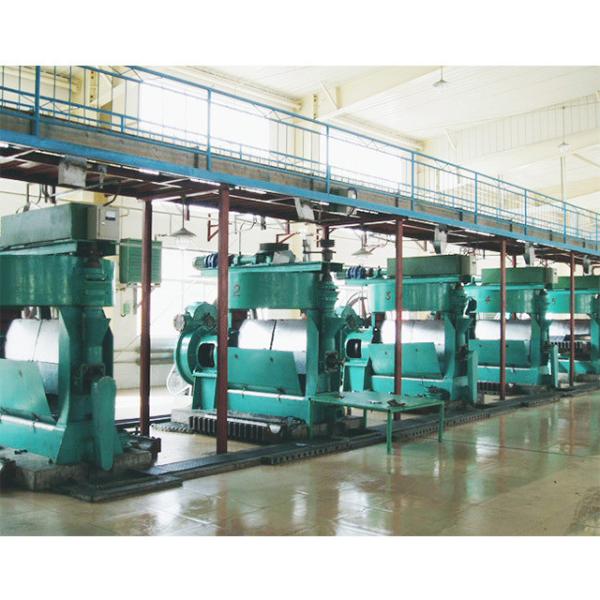 Automatic Grade Automatic Big Capacity Cotton Seed Oil Press Machine Castor Oil Mill Processing Machinery