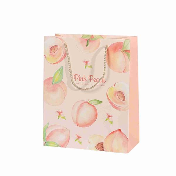 High End Customized Favor Fruie Printing Gift Bags For Shopping