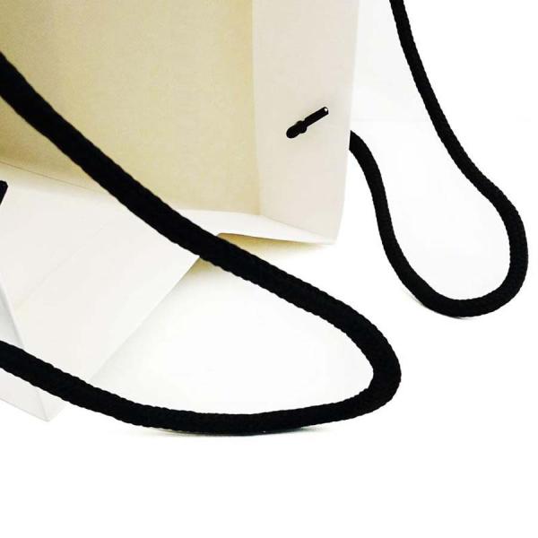 Custom Logo Clothing Shopping Gift Jewelry Packaging Paper Bag with Gold Stamp Finish