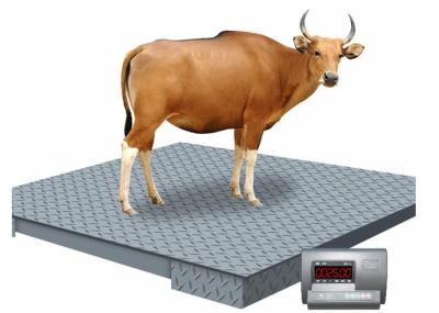 Carbon Steel Animal Industrial Floor Scales Heavy Duty Digital 2T 1X1M