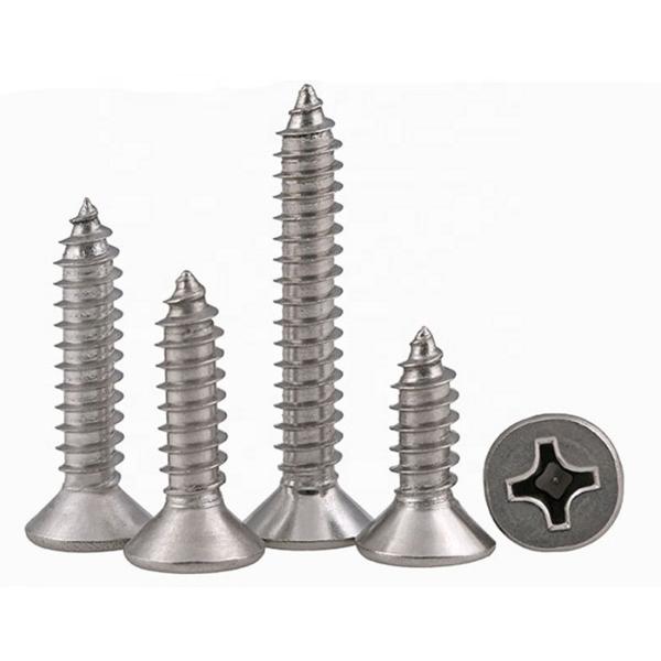 Le métal auto-fileteux durable visse l'acier inoxydable/la norme ANSI faite par acier au carbone ASME B 18.6.3