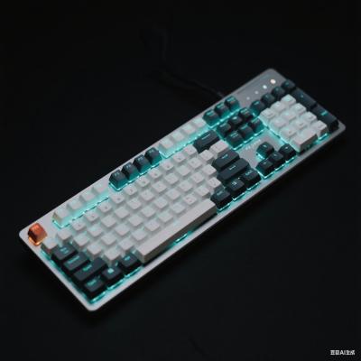 Double Shot PBT Keycaps OEM Profile Cherry MX Compatible