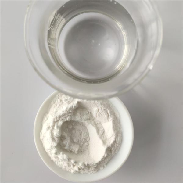 Buy Ginseng Fruit juice Powder / ginseng fruit With Best Price