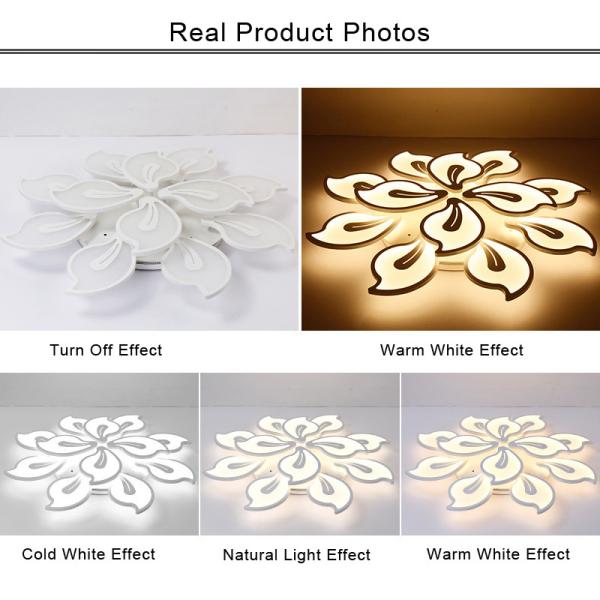 Fancy Acrylic ceiling lights Acrylic Design Ceiling Lights Bedroom Living Room Ceiling Lamp (WH-MA-53)