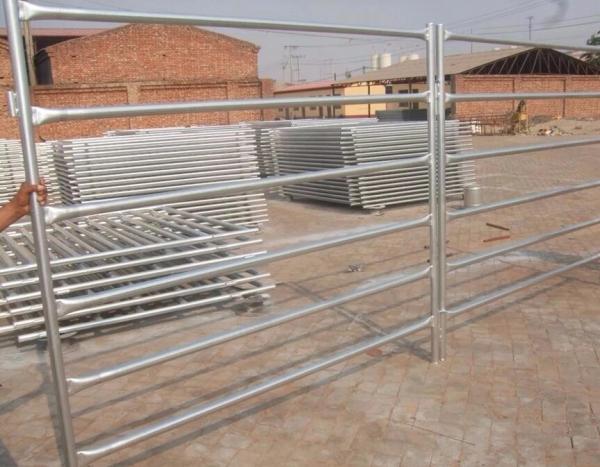 2200mm Livestock Farm Stockyard Galvanized Corral Panels