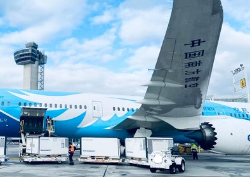 FCL Dhl Lcl Доставка международных авиаперевозок Шанхая в Мексику