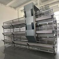 Cage de frango de bateria grande durável fácil de limpar camada de aço galvanizado