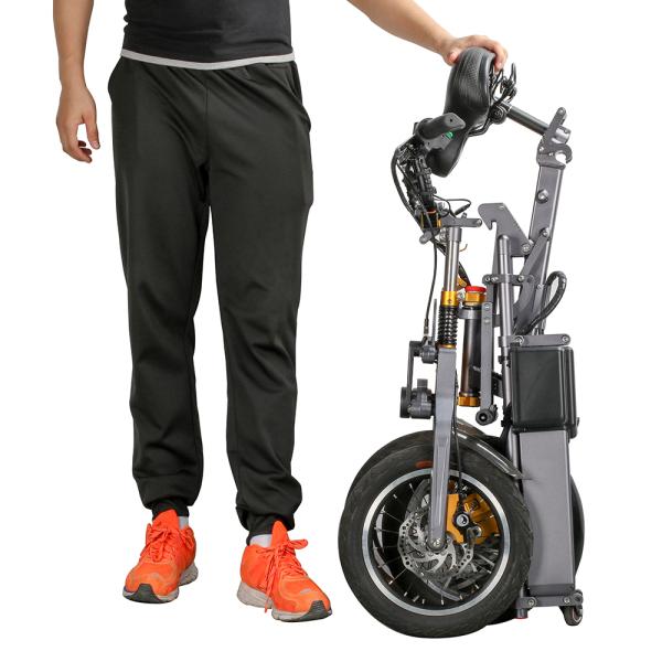 48V 250W Adult Folding Electric Bicycle Three Wheels Lithium 36V 10.4Ah Battery