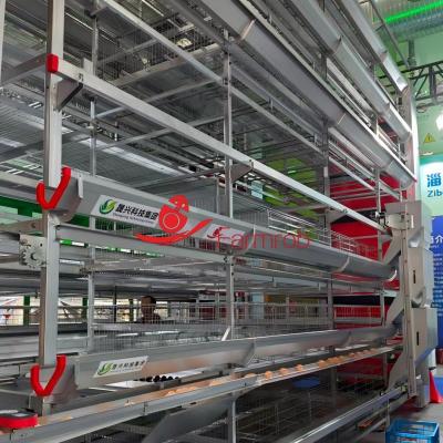 30000  Layer Cage System with Suitable Temperature in Saudi Arabia