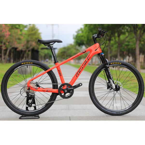 Bicicle pour enfants, fille, 8 et 10 ans, enfant à prix abordable.