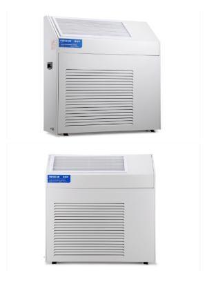 6kg/h R22 Wall Mounted Dehumidifier Commercial Crawl Space Duct Ceiling