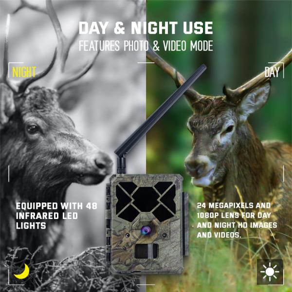 Caméra de chasse 4G télécommandée KW886 avec capacité vidéo 1080p et portée nocturne de 120 pieds