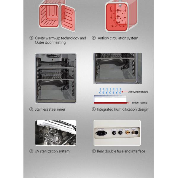Stainless Steel Inner Cell Culture Incubator Lab Tissue Culture Incubator 160L