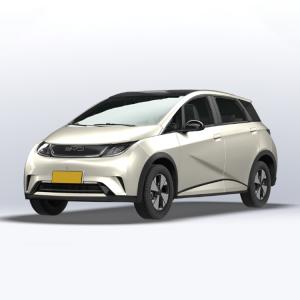 AWD BYD Dolphins EV All Electric Vehicle PHEV Custom