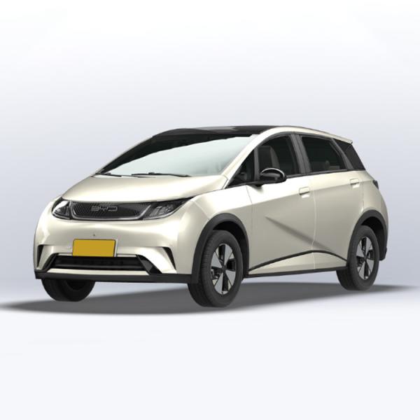 AWD BYD Dolphins EV All Electric Vehicle PHEV Custom