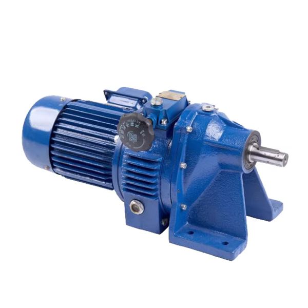 Cycloidal Gear Reducer with High Reduction Ratio Compact Structure and Strong Load Capacity Adjustable Speed Gear Motor