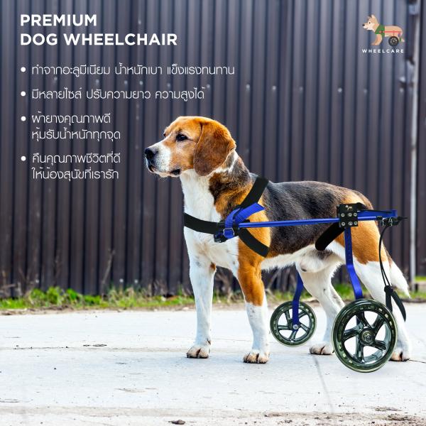 Blue Hind Leg Pet Dog Wheelchair With Mute PU Wheels Lightweight