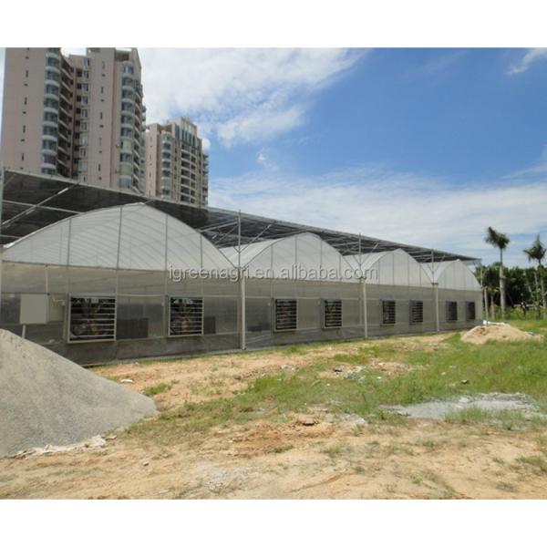 200 Micron Plastic Film Greenhouse Shade Cloth Roof Height 7 Meters for Strawberry