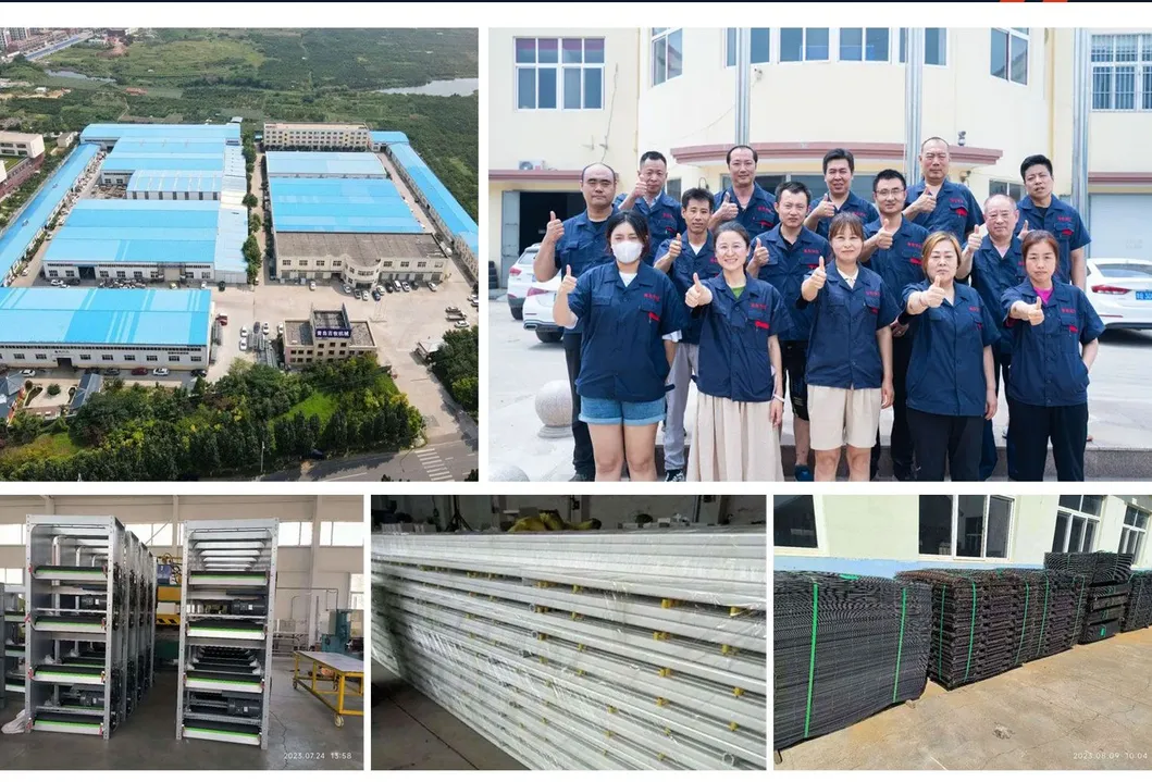 High Strength PP Poultry Pan Feeding System Anti Waste Design For Broiler Production