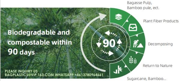 Eco Friendly Bowls 100% Compostable Disposable Biodegradable Sugarcane Bagasse Bowl