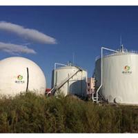Projet de conception des installations et de construction de biogaz de Gobar d'engrais d'animaux