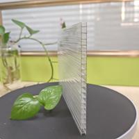 6 mm 10 mm feuille de polycarbonate Clear Hollow