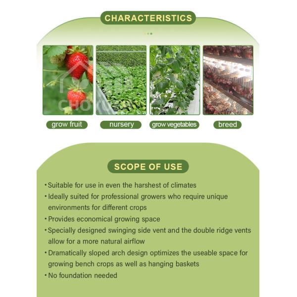 Multi Span Film Hydroponic Garden Greenhouse 10X30m Customizable